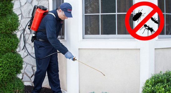 Nazımiye Kene İlaçlama böcek ilaçlama ve haşere kontrolü — ilaclama-tr.com